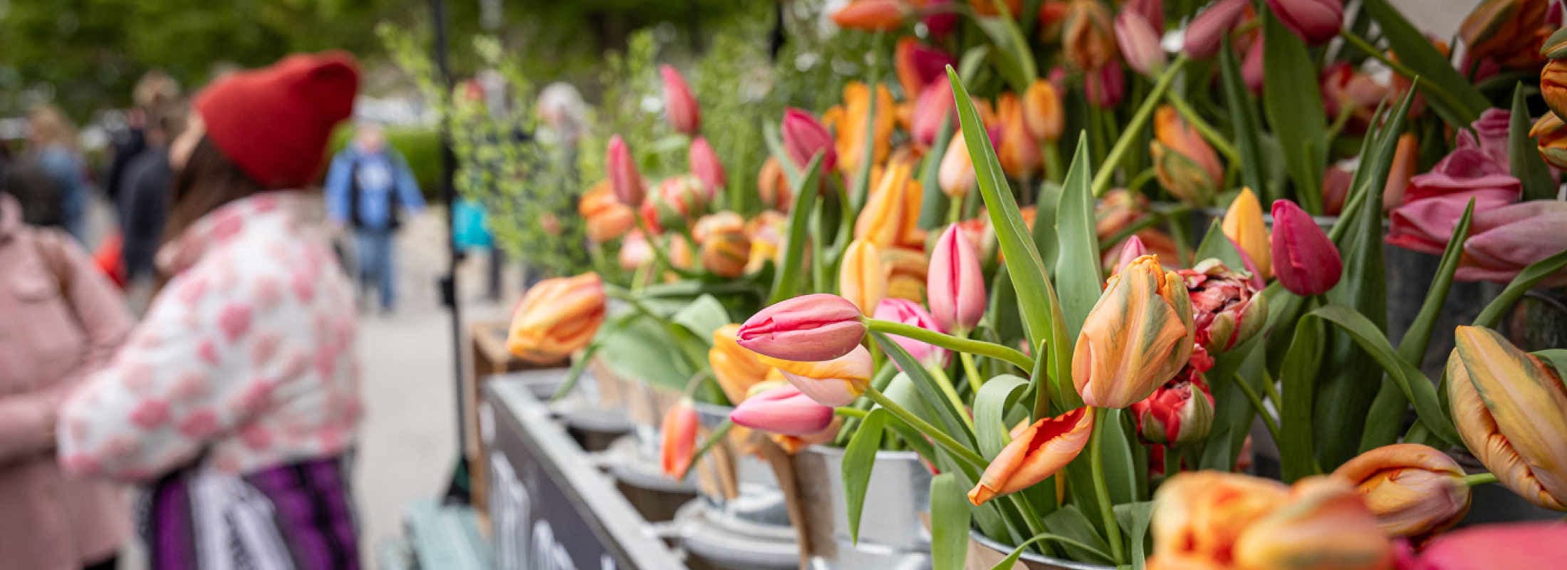 Overland Park Farmers' Market in Overland Park, Kansas